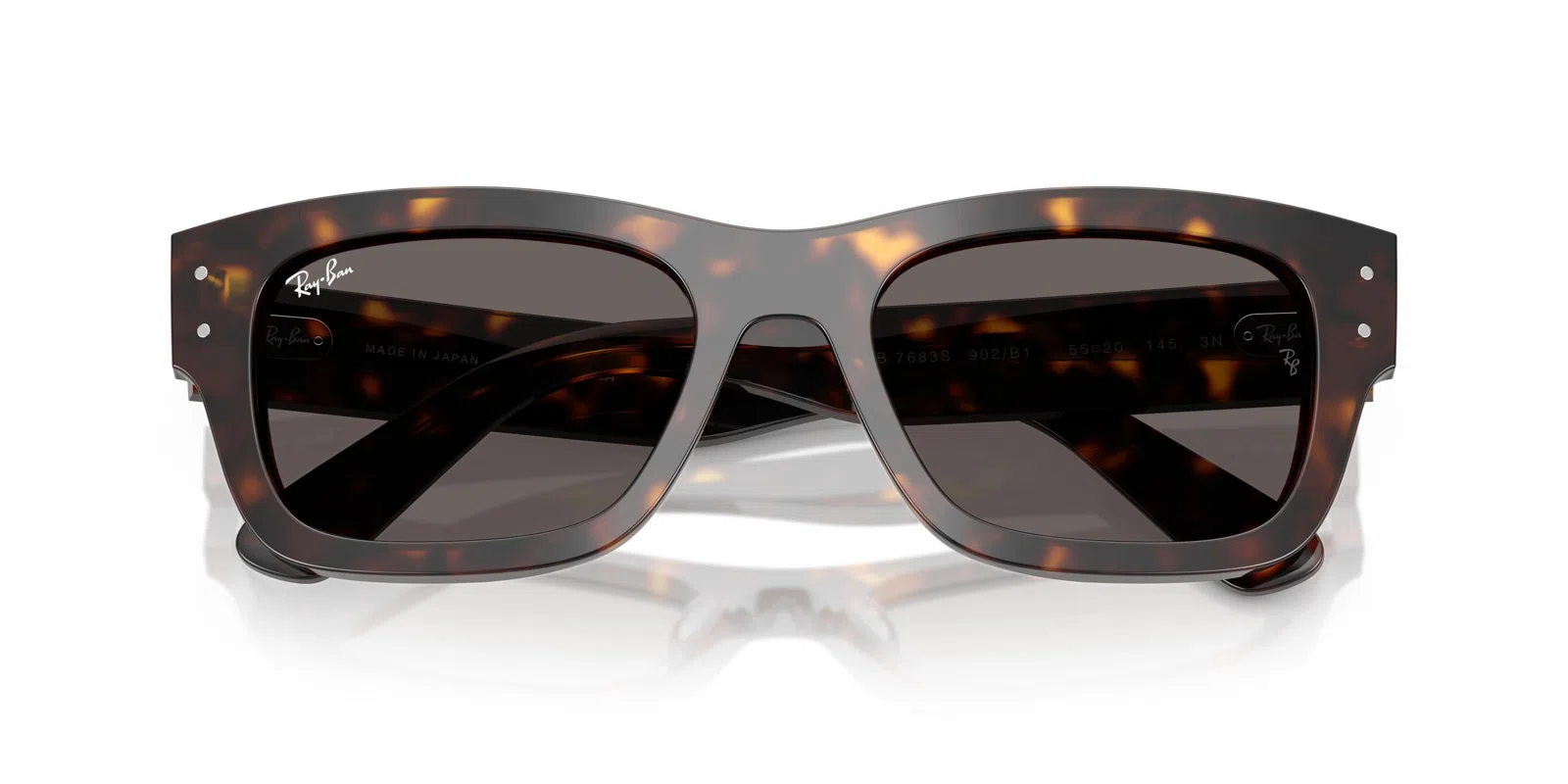 Ray-Ban Joseph 7683S Sunglasses - view 40